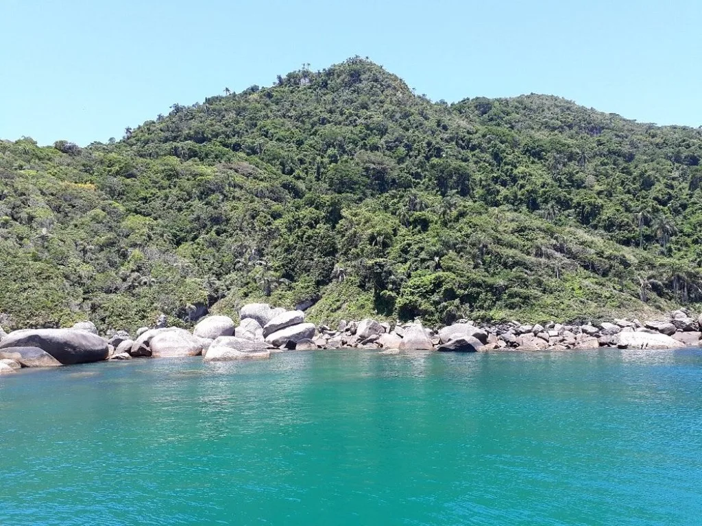 Enseada de águas claras na Ilha do Arvoredo em dia de visibilidade alta, condição ideal para mergulho recreativo