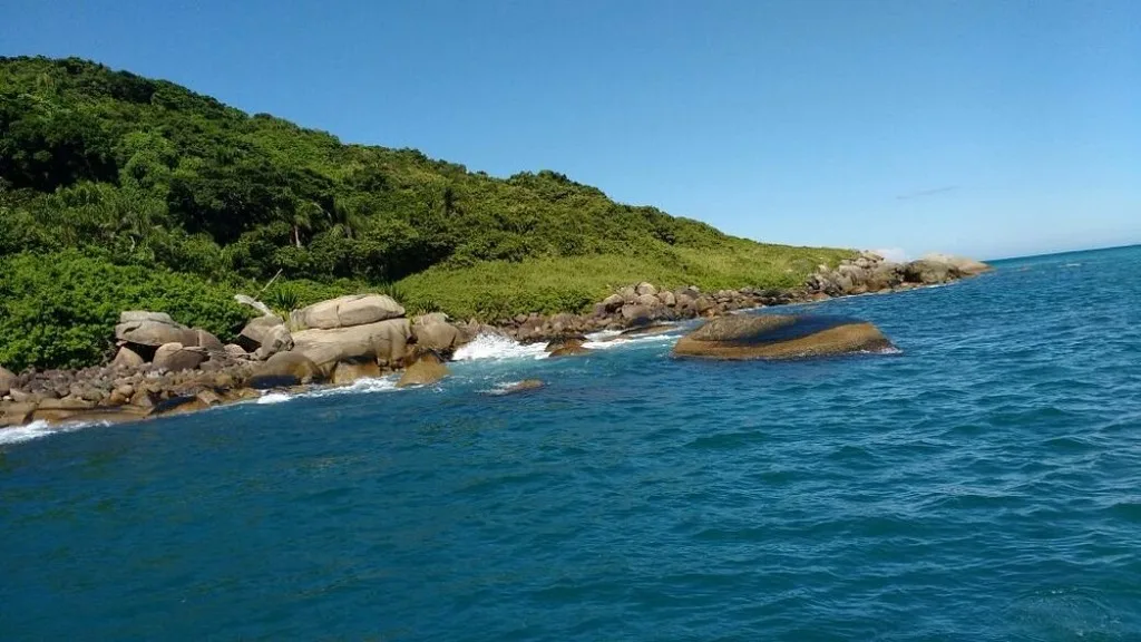 Costão rochoso da Ilha do Arvoredo com matacões graníticos submersos, típicos dos pontos de mergulho da Rebio