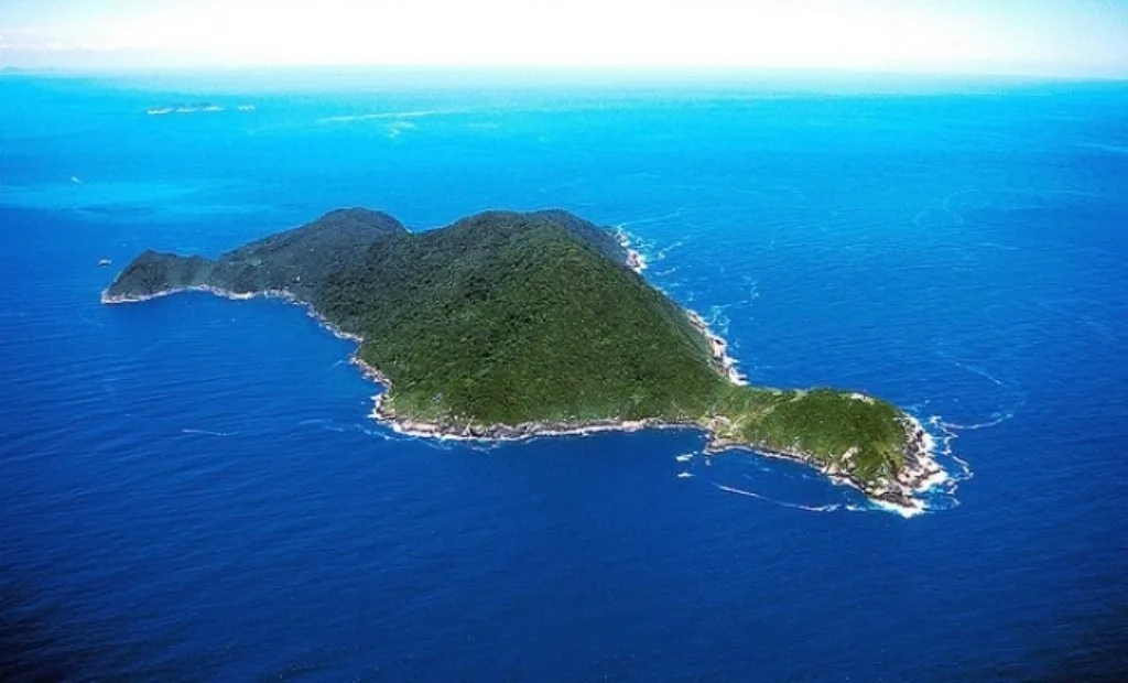 Vista aérea panorâmica da Ilha do Arvoredo em Santa Catarina, com costão de granito e mata atlântica preservada
