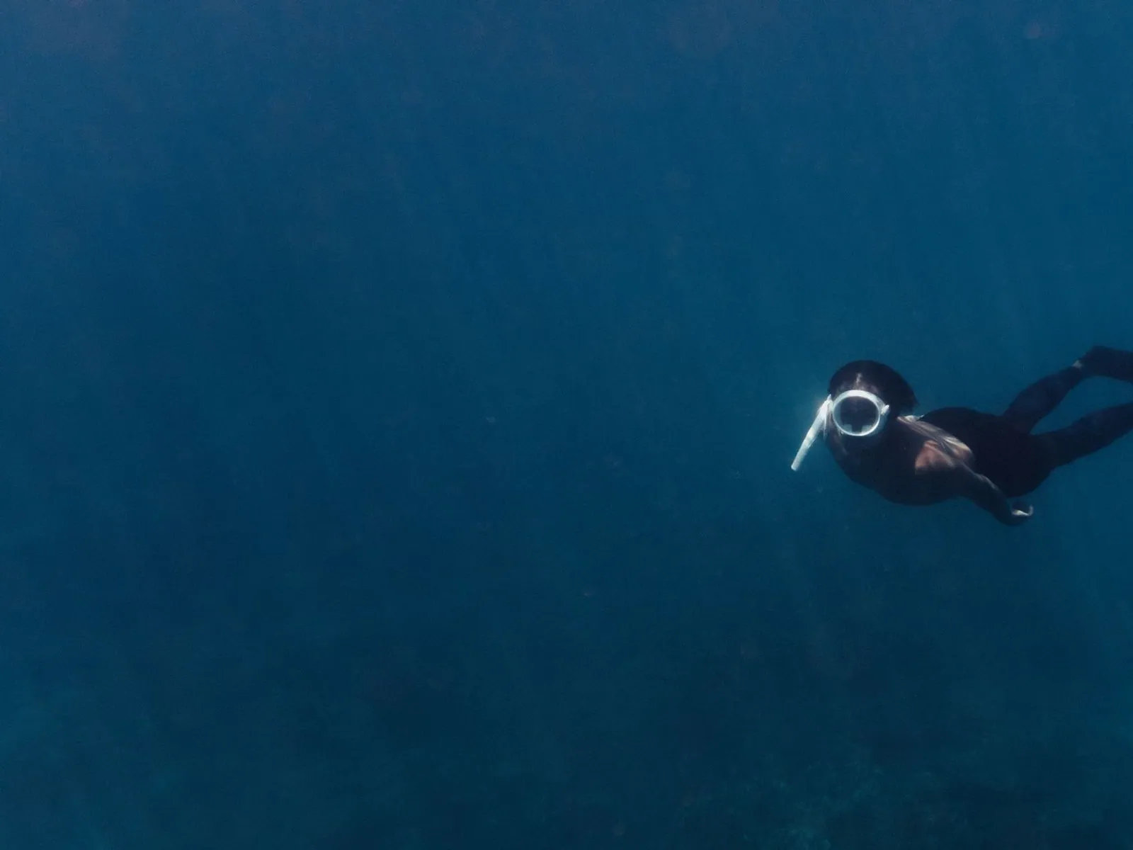 Apneísta de neoprene mergulhando em águas azuis