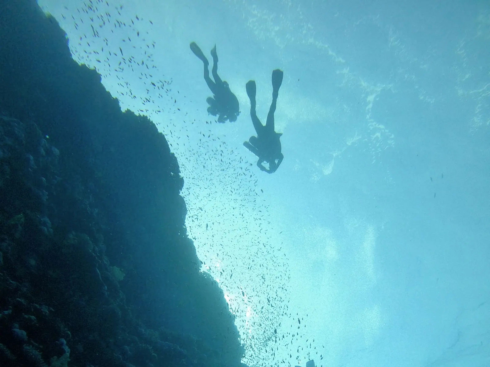 Mergulhadores em silhueta junto a uma parede submersa