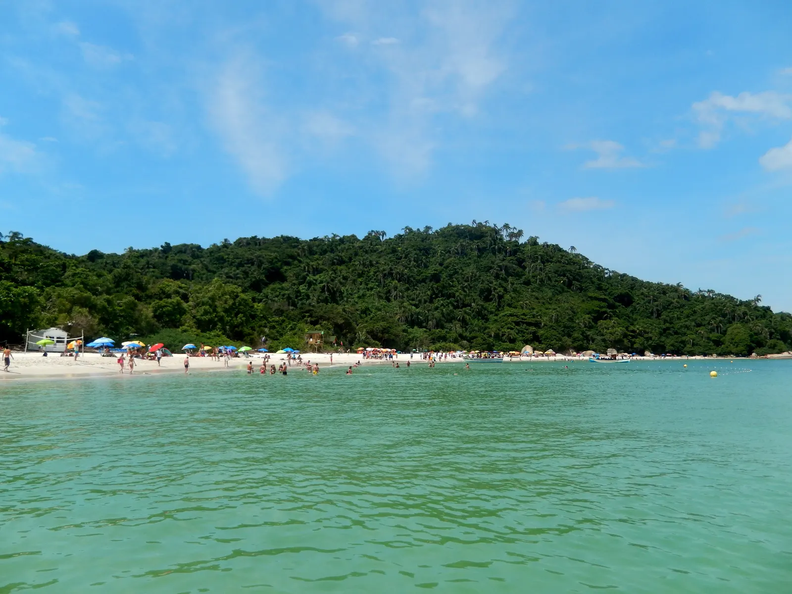 A praia da Ilha do Campeche vista do barco na chegada, com guarda-sóis na areia e a mata atrás