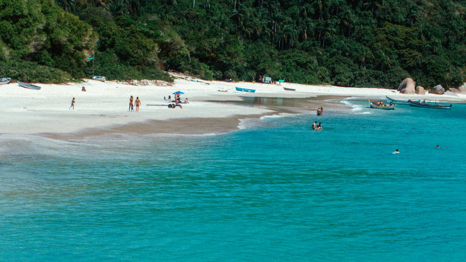 Praia da Ilha do Campeche vista do alto, com areia branca, mar turquesa e mata atlântica ao fundo