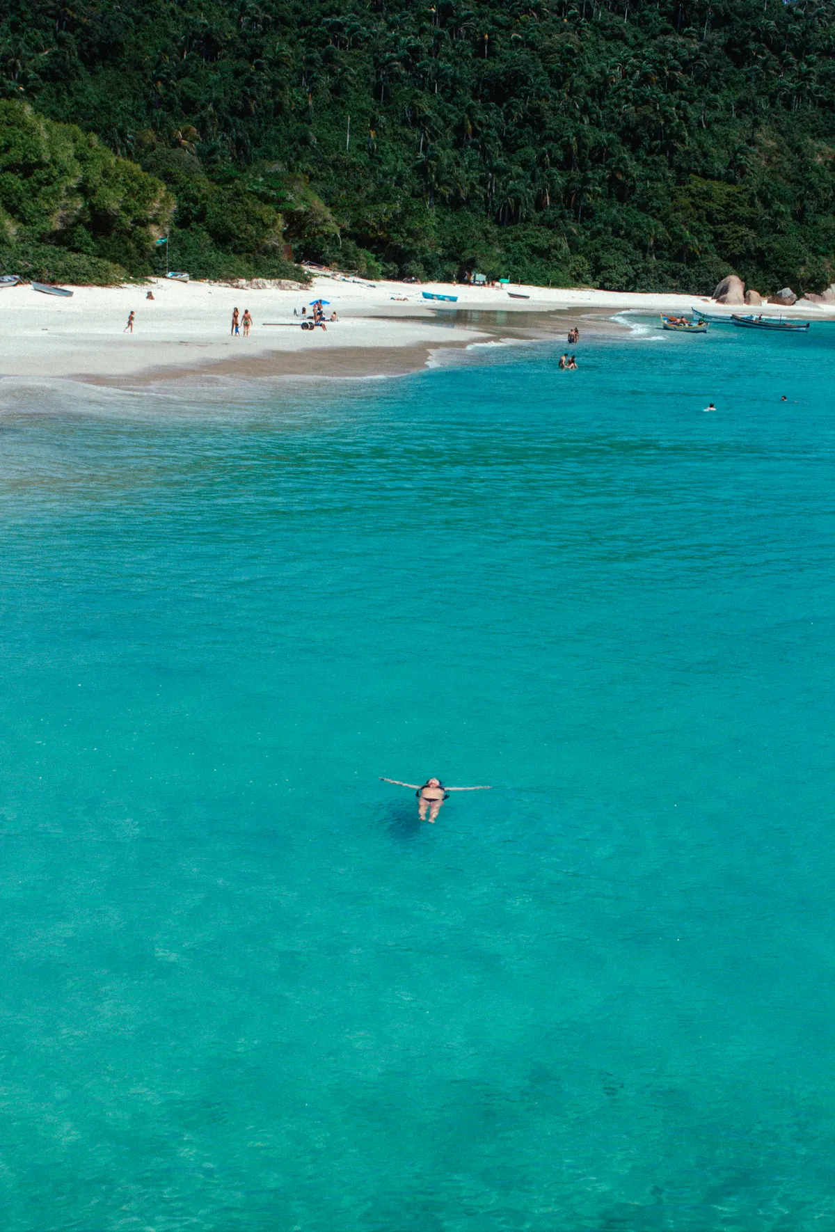 Enseada da Ilha do Campeche vista da trilha, com uma pessoa boiando na água turquesa e a praia ao fundo