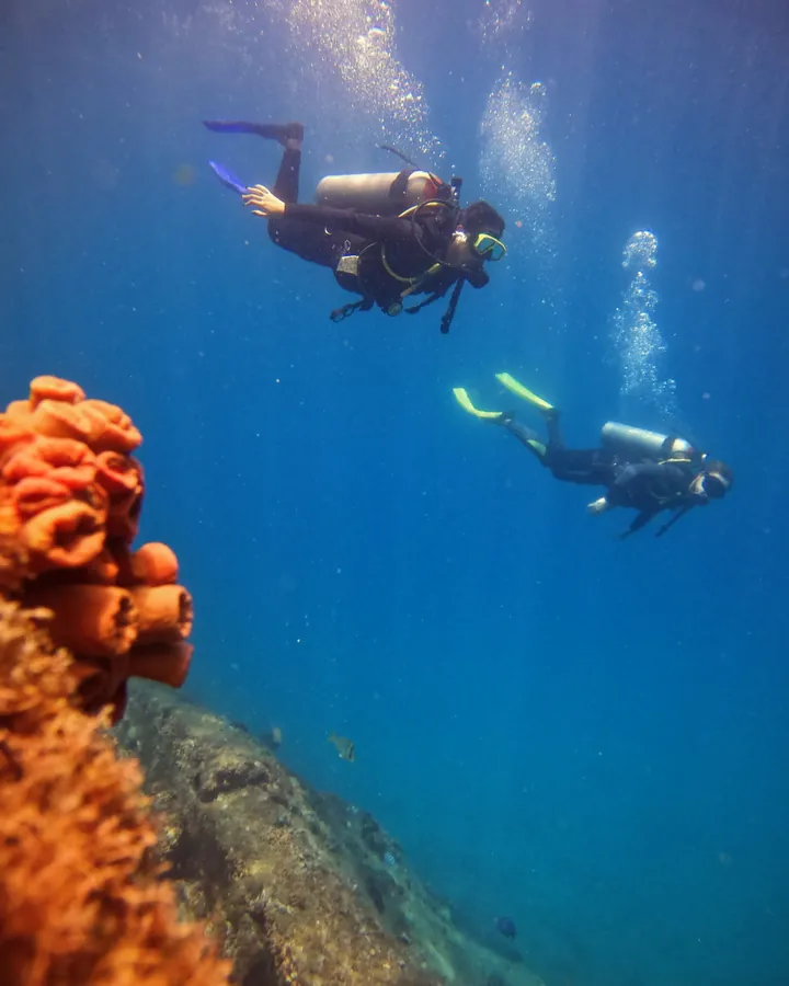 Dois mergulhadores descendo no azul, com bolhas subindo e a esponja laranja do costão