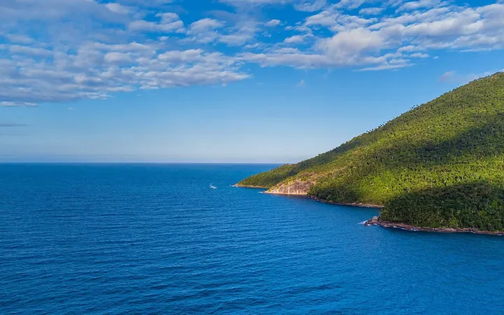 Costão da Ilha Anchieta coberto de mata, descendo até o mar azul