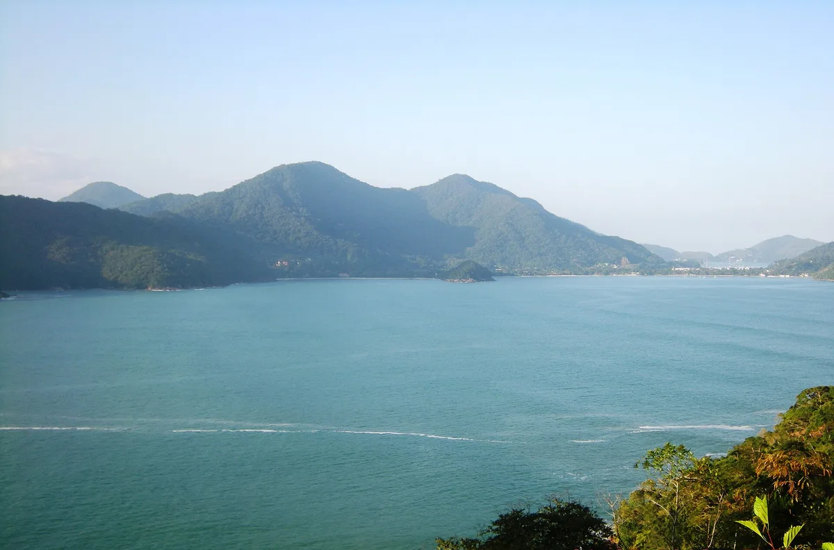 Enseada do Lázaro vista do costão, com a mata atlântica descendo até o mar