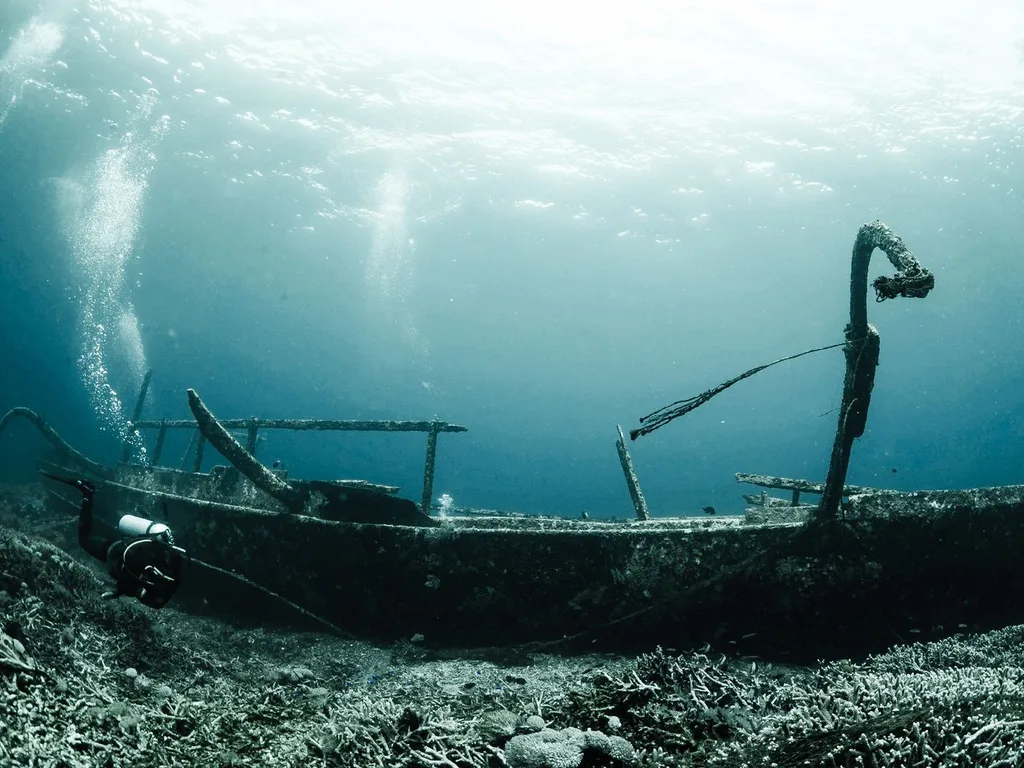 Estrutura de um naufrágio coberta de vida marinha no fundo do mar