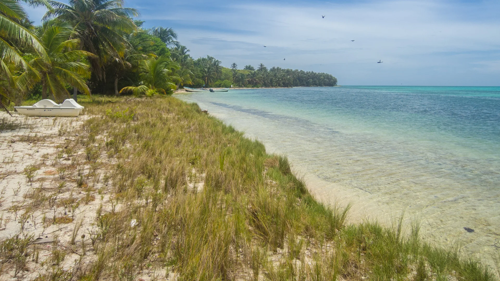 Praia de Half Moon Caye, ilha do atol de Lighthouse Reef, em Belize