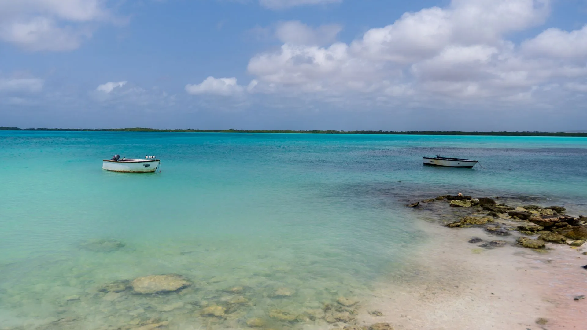 Costa de ilha do Caribe com mar azul-turquesa e recife raso