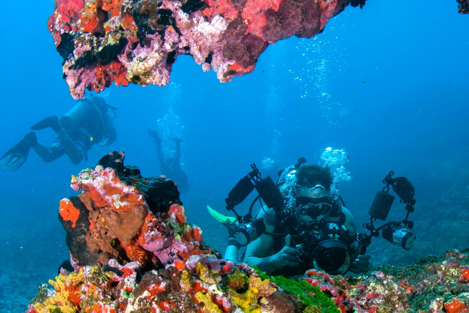 Mergulhador explorando recife de coral colorido no Caribe