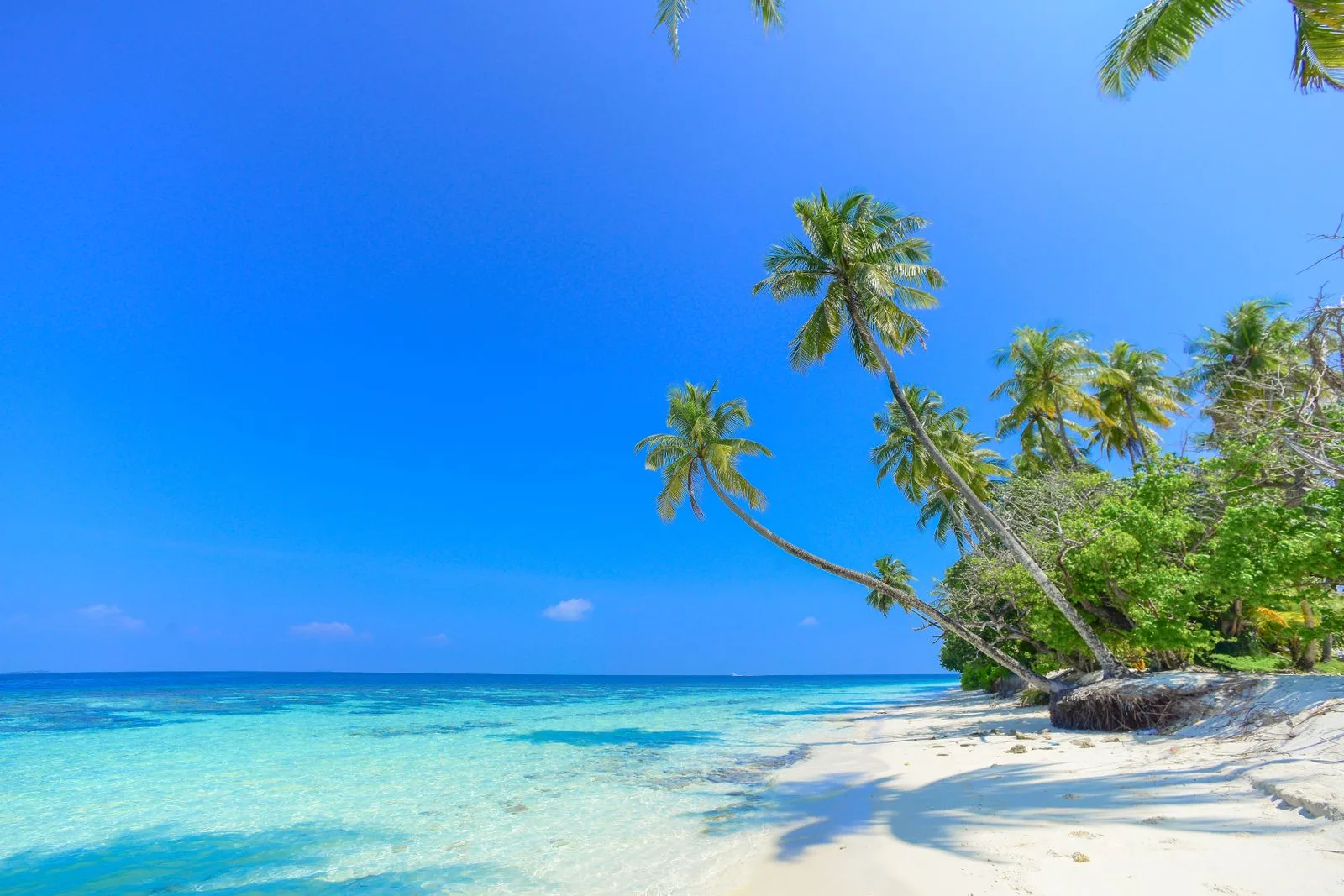 Praia tranquila de ilha do Caribe com água cristalina e coqueiros