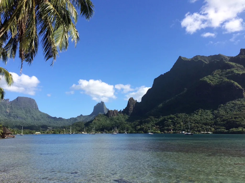 Veleiros ancorados na Baía de Cook, cercada pelos picos de Moorea