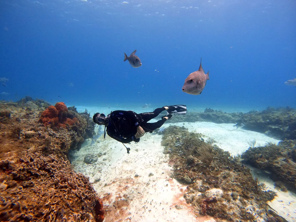 Mergulhador nadando sobre recife de coral colorido em Cozumel, no México