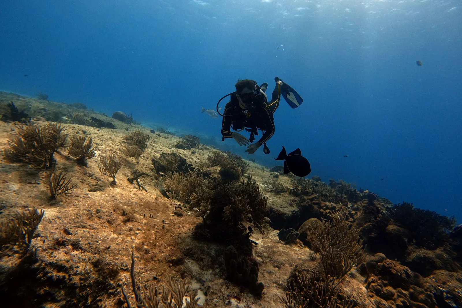 Mergulhador explorando recife de coral colorido em Cozumel, no México