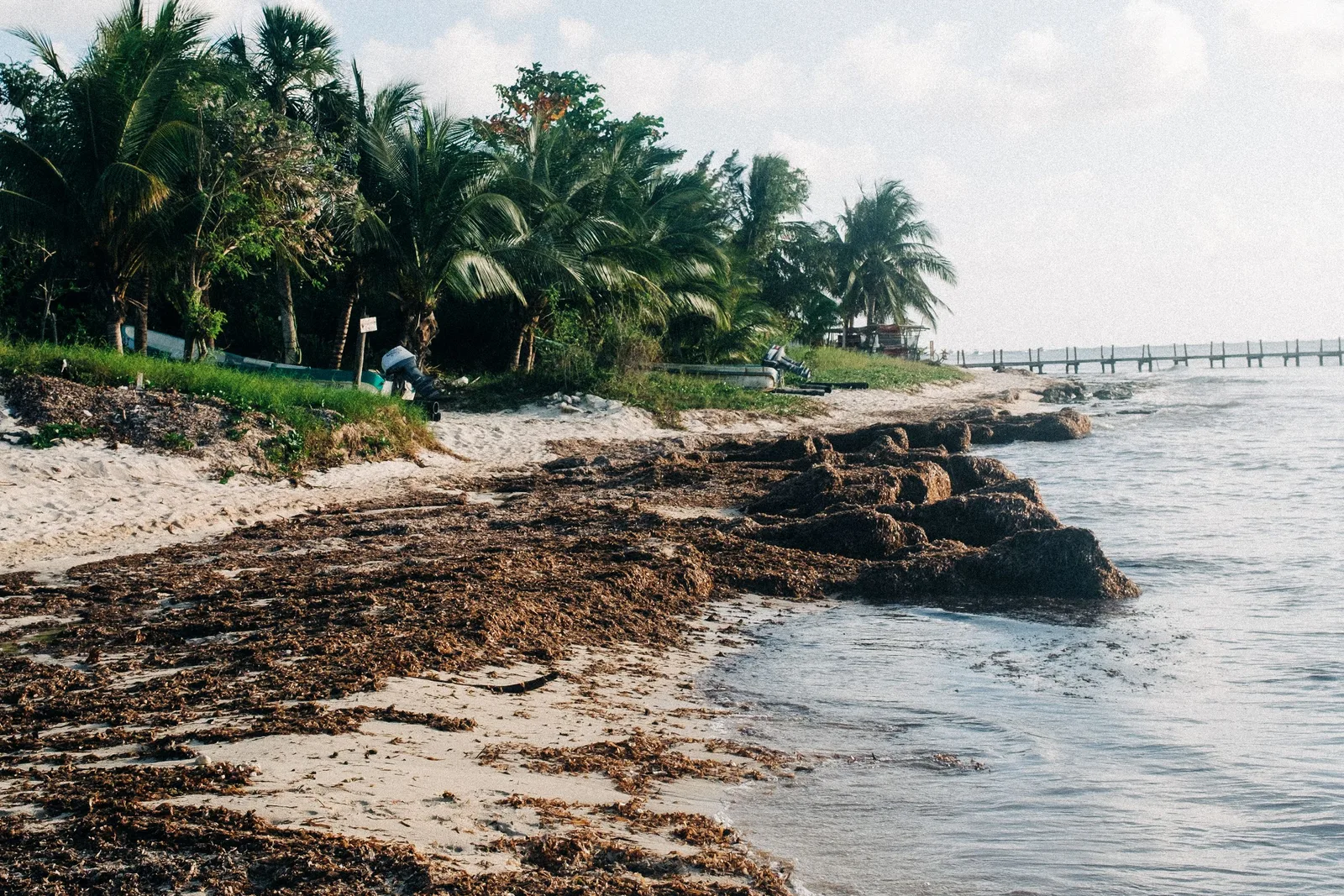 Praia tranquila com coqueiros em San Miguel de Cozumel, no México