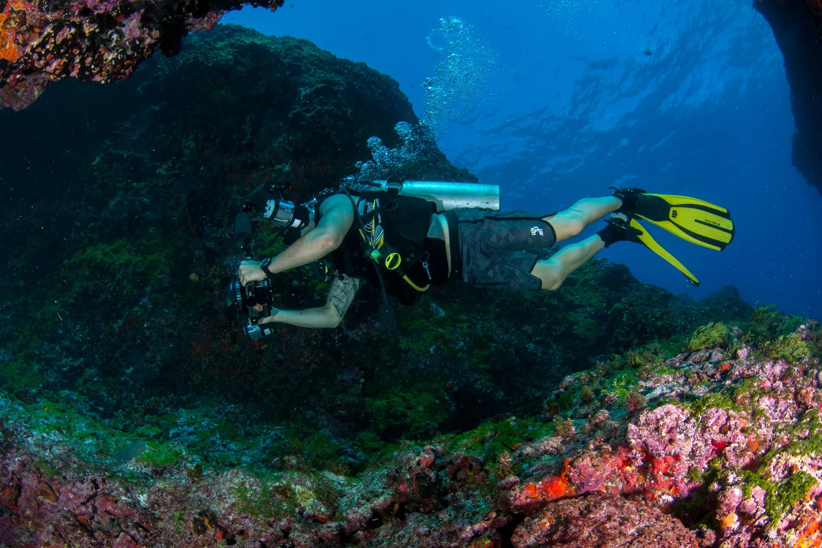 Mergulhador com equipamento completo explorando recife de coral