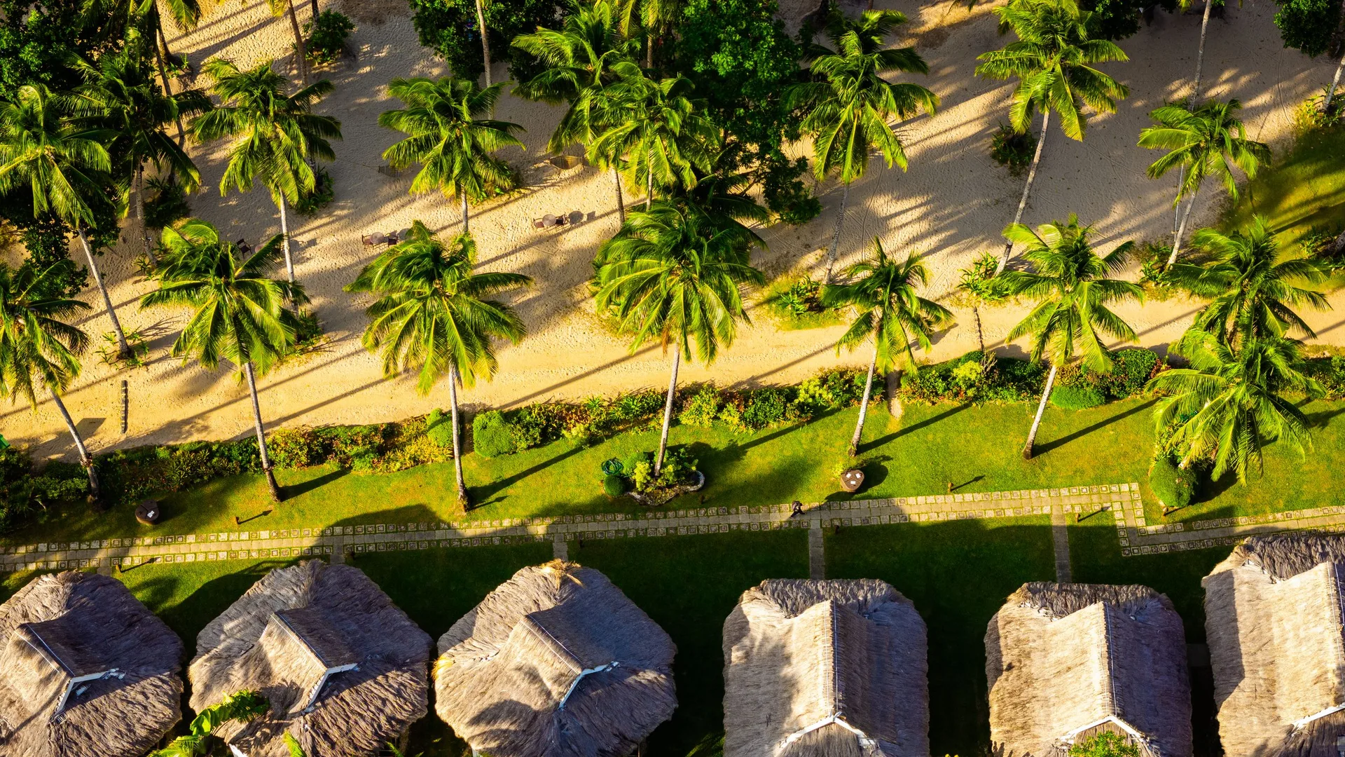 Vista aérea de bangalôs de palha entre coqueiros em resort de praia em Palawan, Filipinas