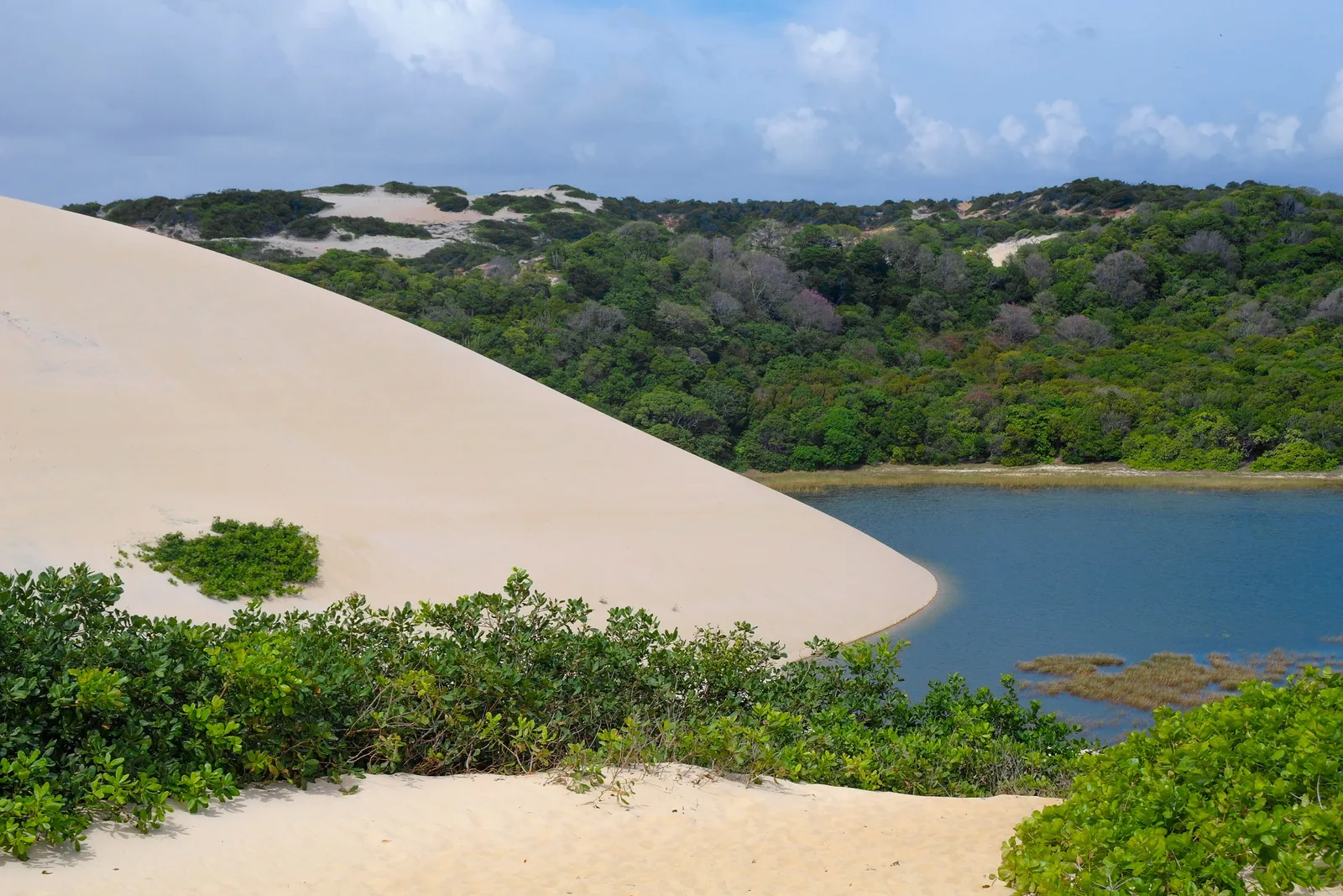 Duna branca de Genipabu à beira de uma lagoa cercada de vegetação