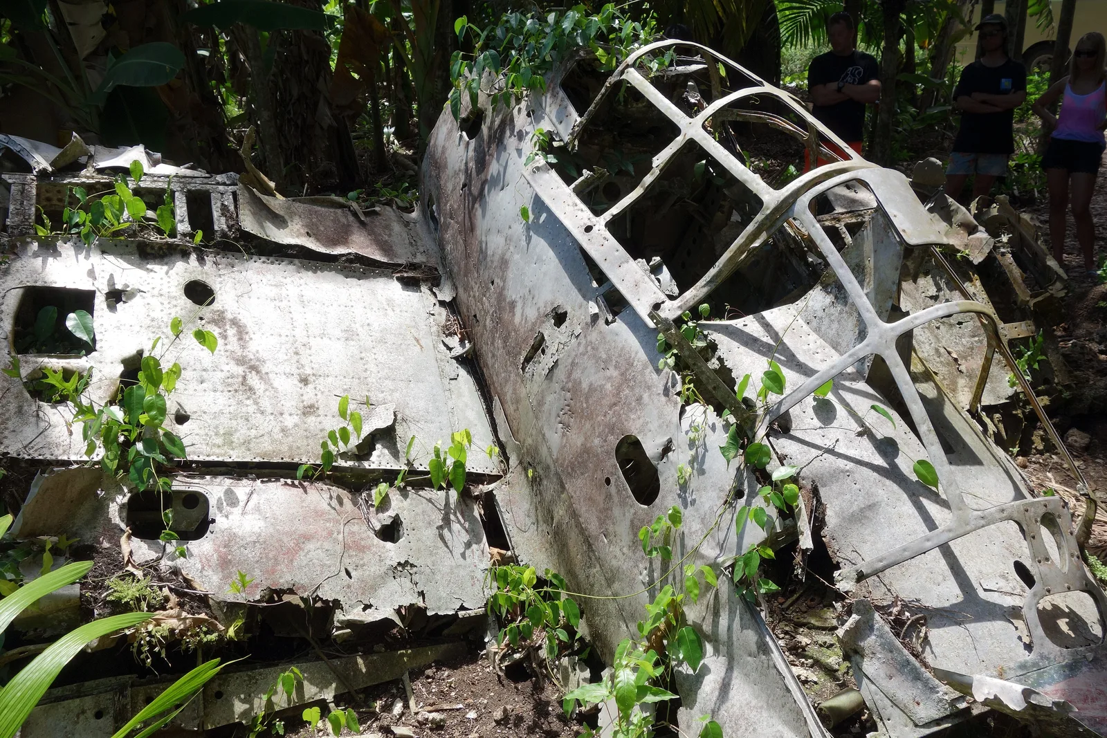 Destroços de um caça Mitsubishi Zero da Segunda Guerra na mata de Peleliu, Palau