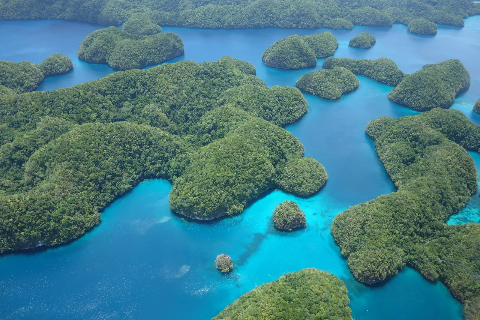 Vista aérea das Rock Islands de Palau, ilhas de calcário cobertas de floresta em lagoa azul-turquesa