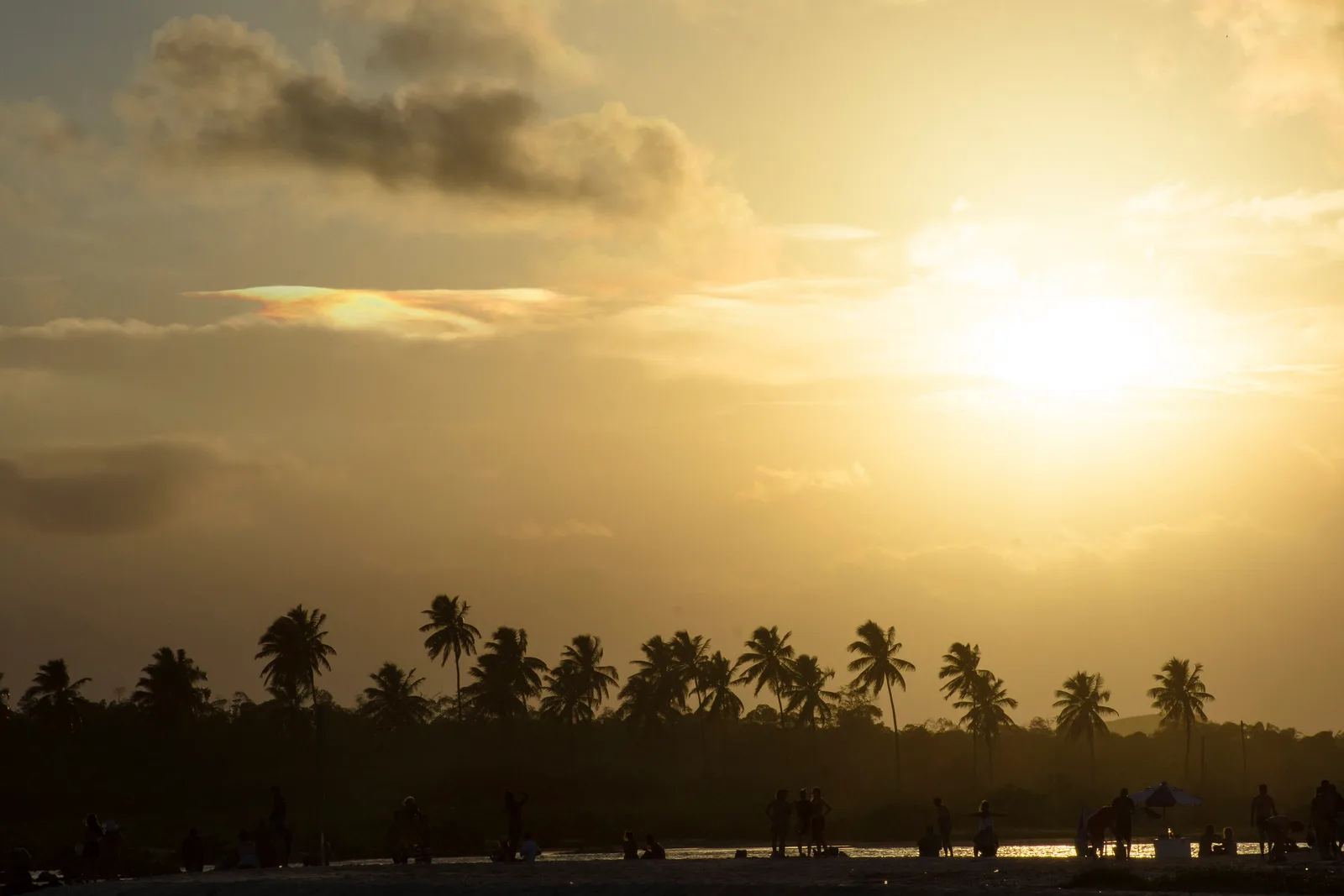 Pôr do sol sobre o coqueiral no Pontal de Maracaípe