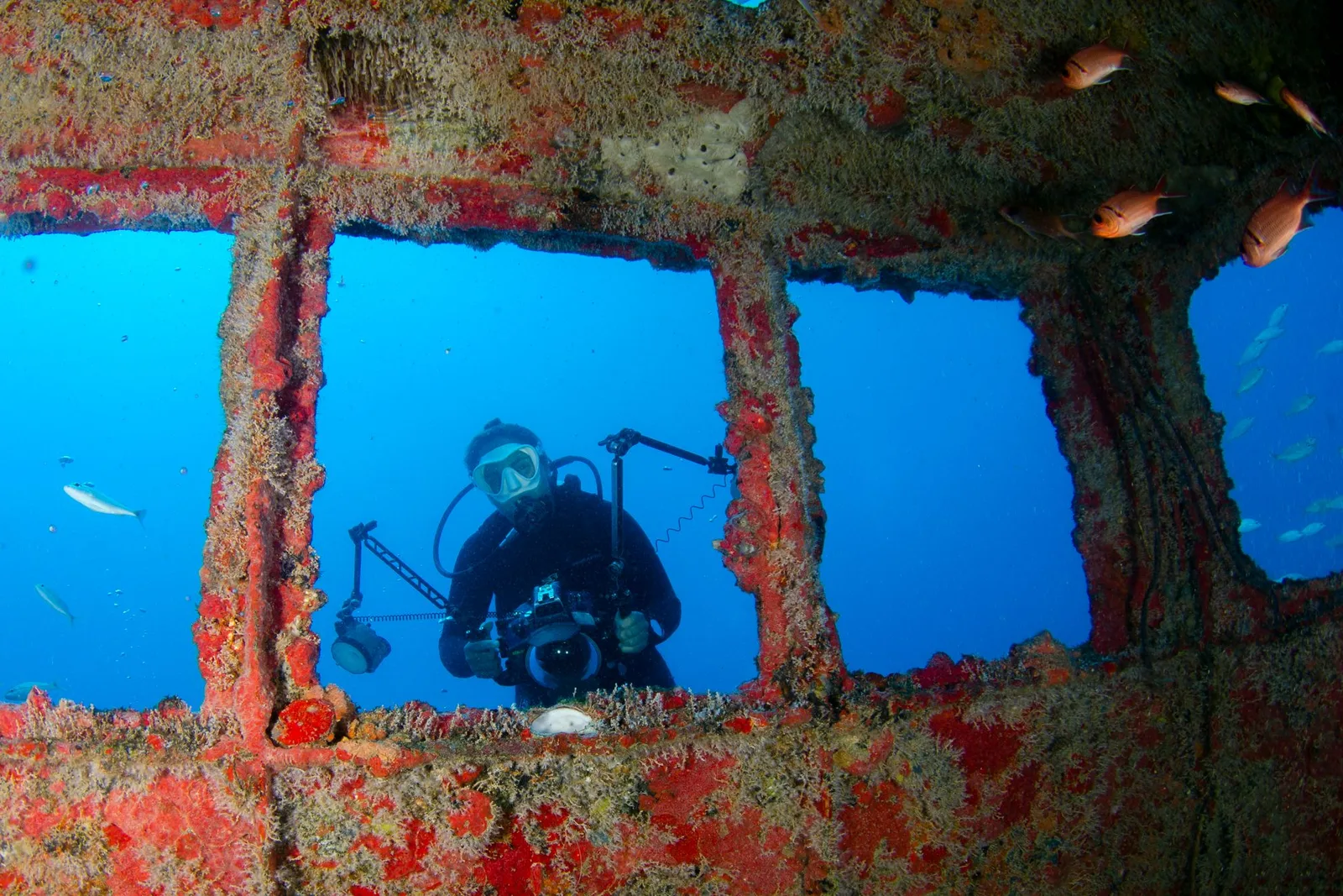 Mergulhador fotografando através da janela de um naufrágio encrustado de coral