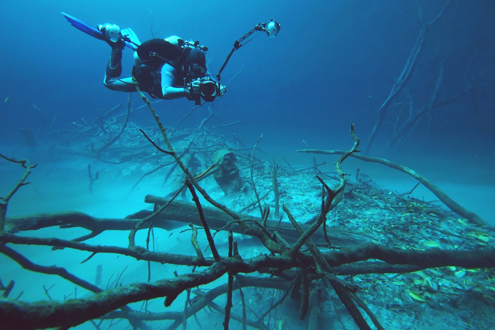 Mergulhador fotografa os troncos submersos do cenote Angelita, ao sul de Tulum