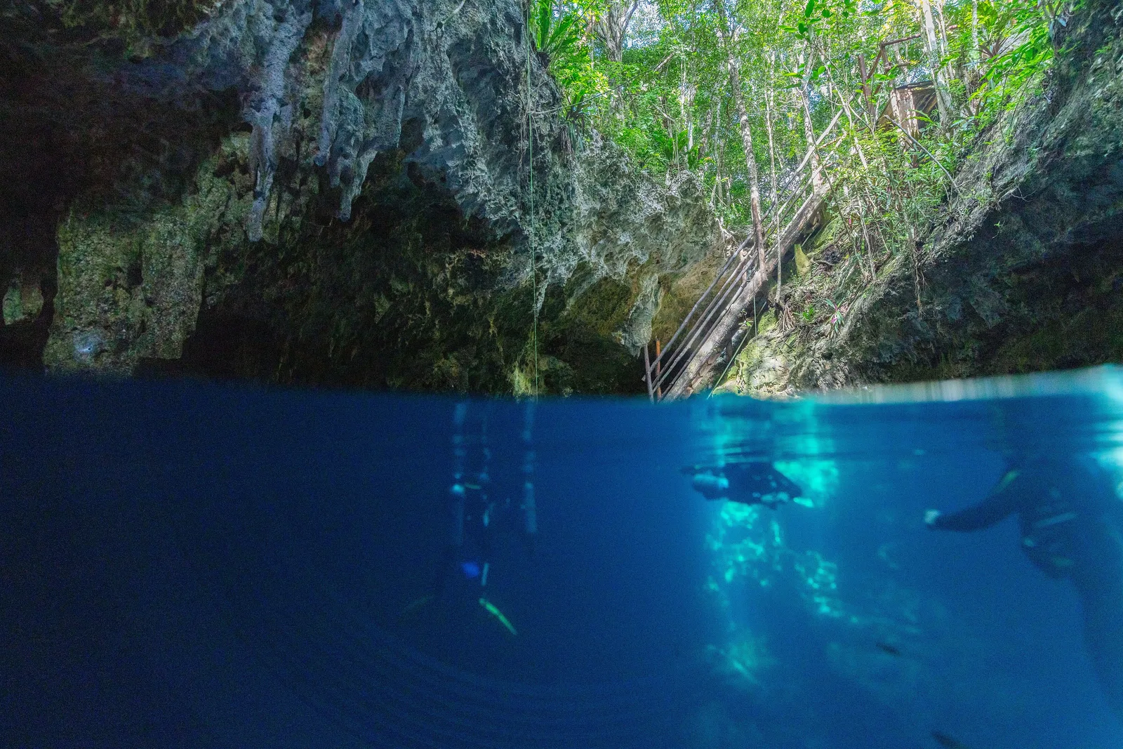 Meio a meio no cenote The Pit: mata e escada de acesso acima, mergulhadores na água azul abaixo, na Riviera Maya