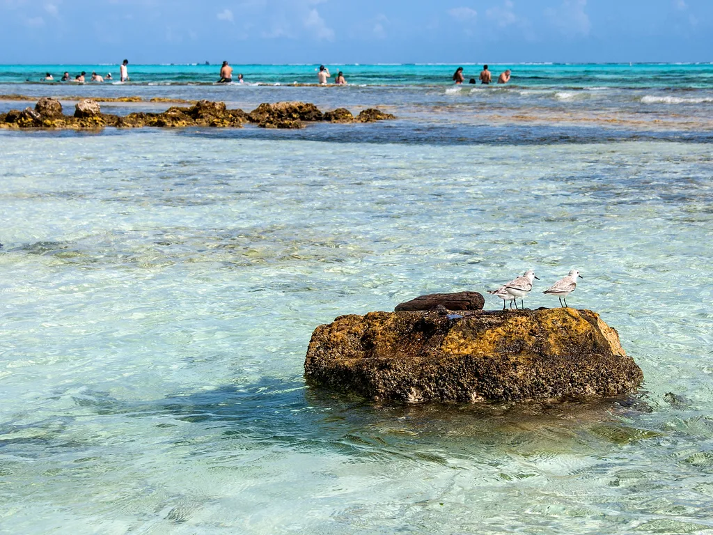 Águas rasas e cristalinas do Acuario, em San Andrés, com banhistas ao fundo