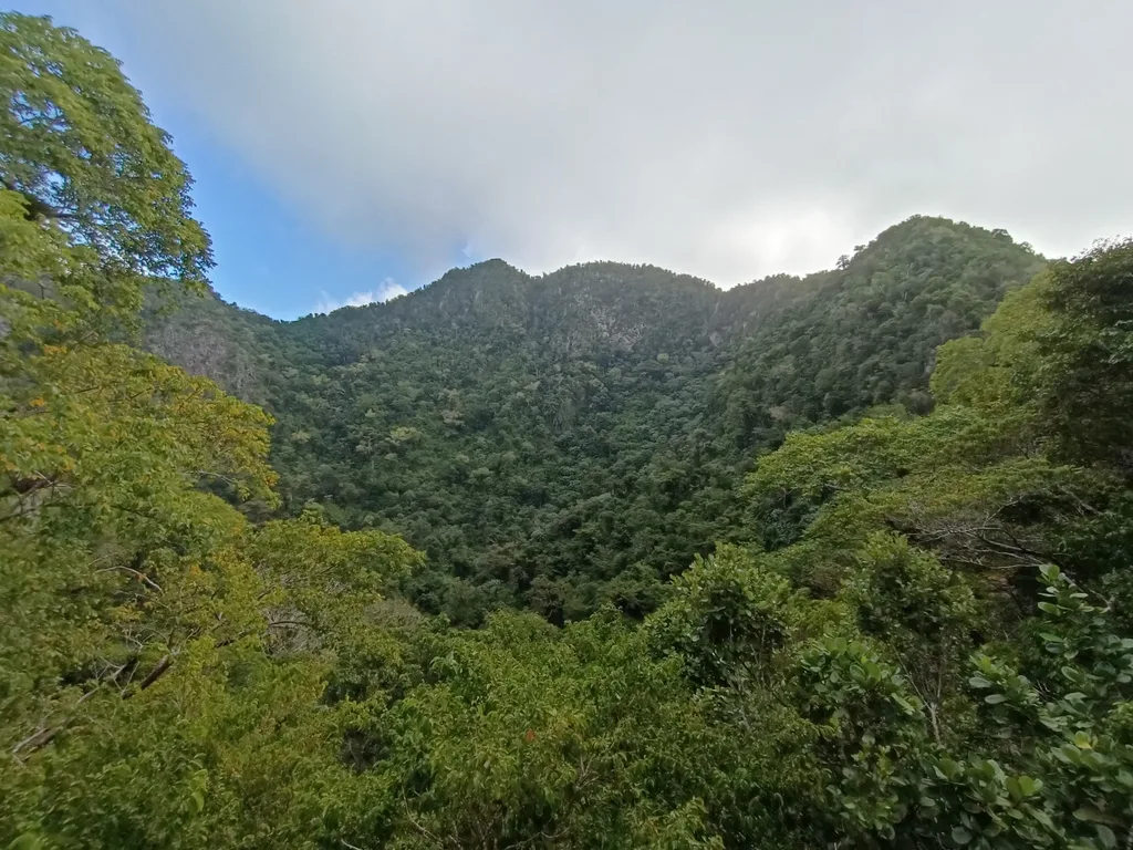 Floresta tropical nas encostas do vulcão Quill, em St. Eustatius