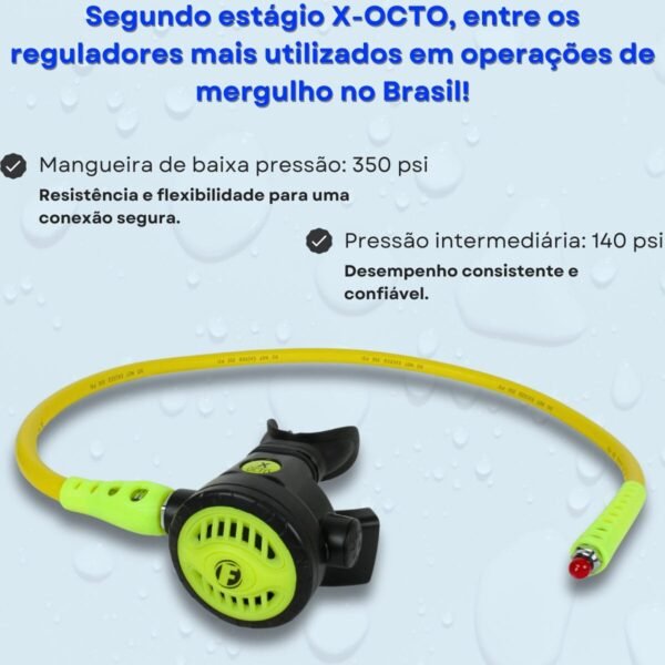 FDREGXOCTO 2