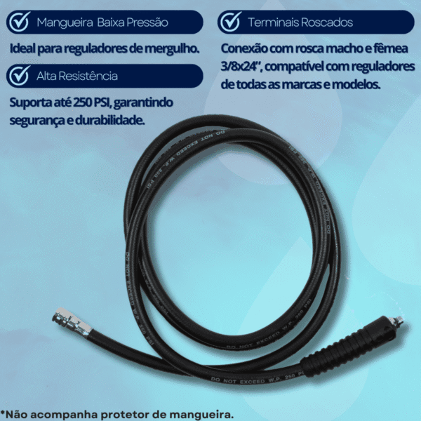 FDLPREG210 2