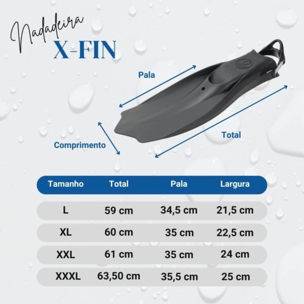 FDNXFIN 6